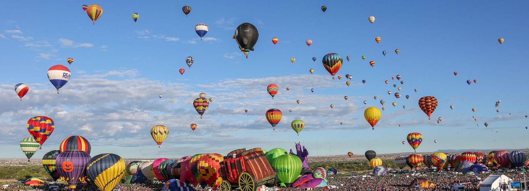 What is Allowed at the Park