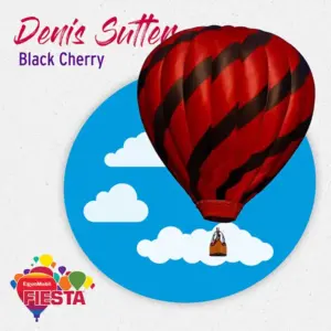 A red and black hot air balloon with