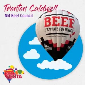 A hot air balloon with