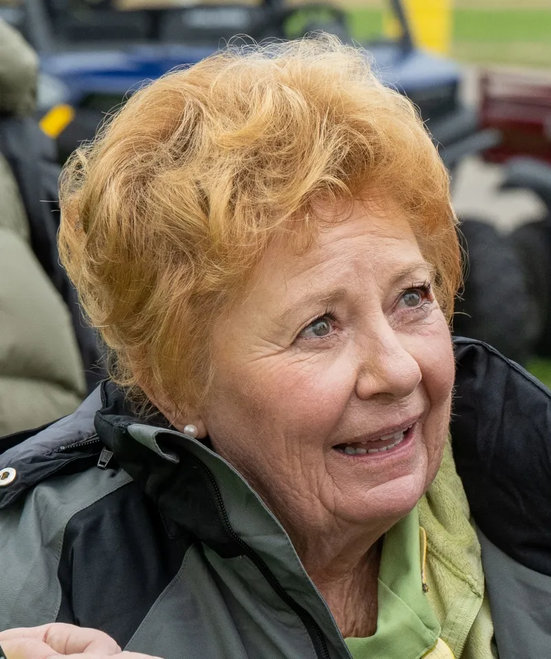 JewelCutter Jewel Cutter